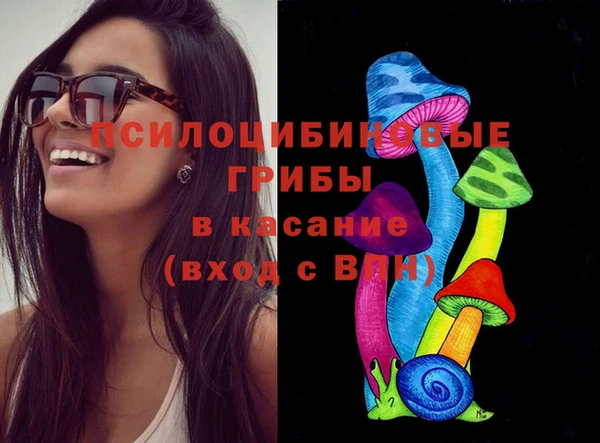2c-b Рославль
