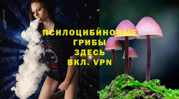 ешки Заречный