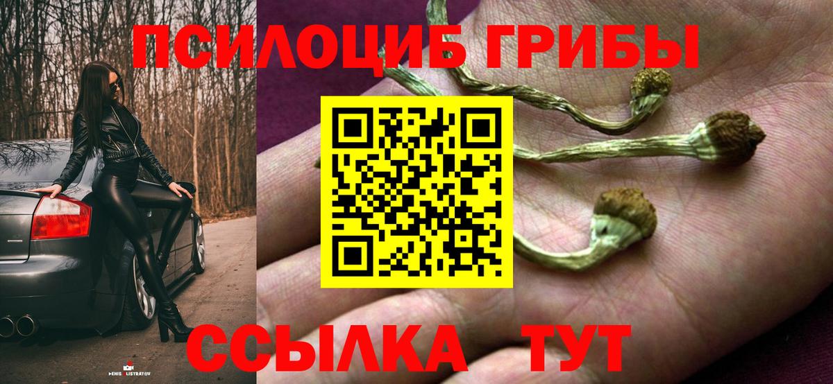 Галлюциногенные грибы Magic Shrooms Советский