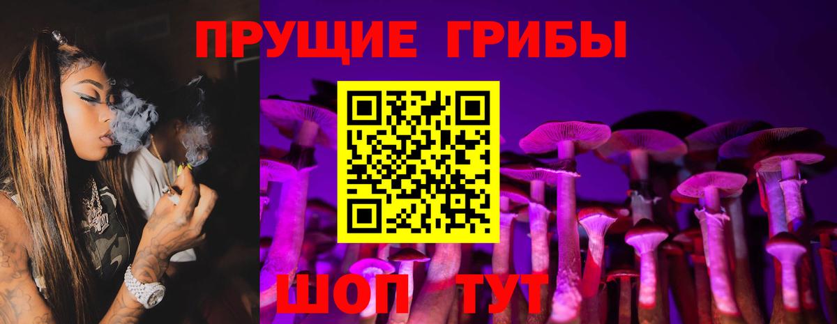 Псилоцибиновые грибы Psilocybe  Вход с VPN  Советский 